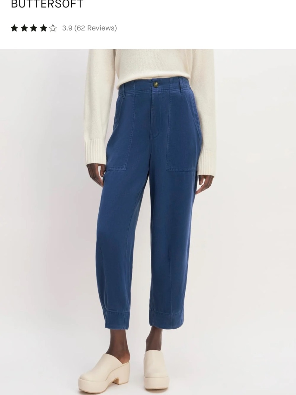 Everlane The Utility Pant in Buttersoft Blue Women’s 4